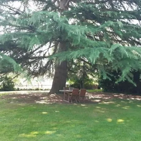公寓 2 Bed On The Dordogne River *